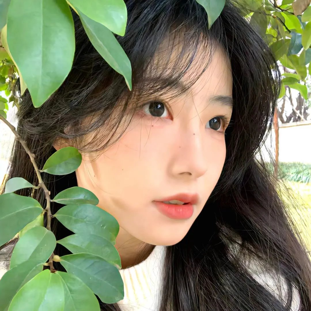 全民乱投