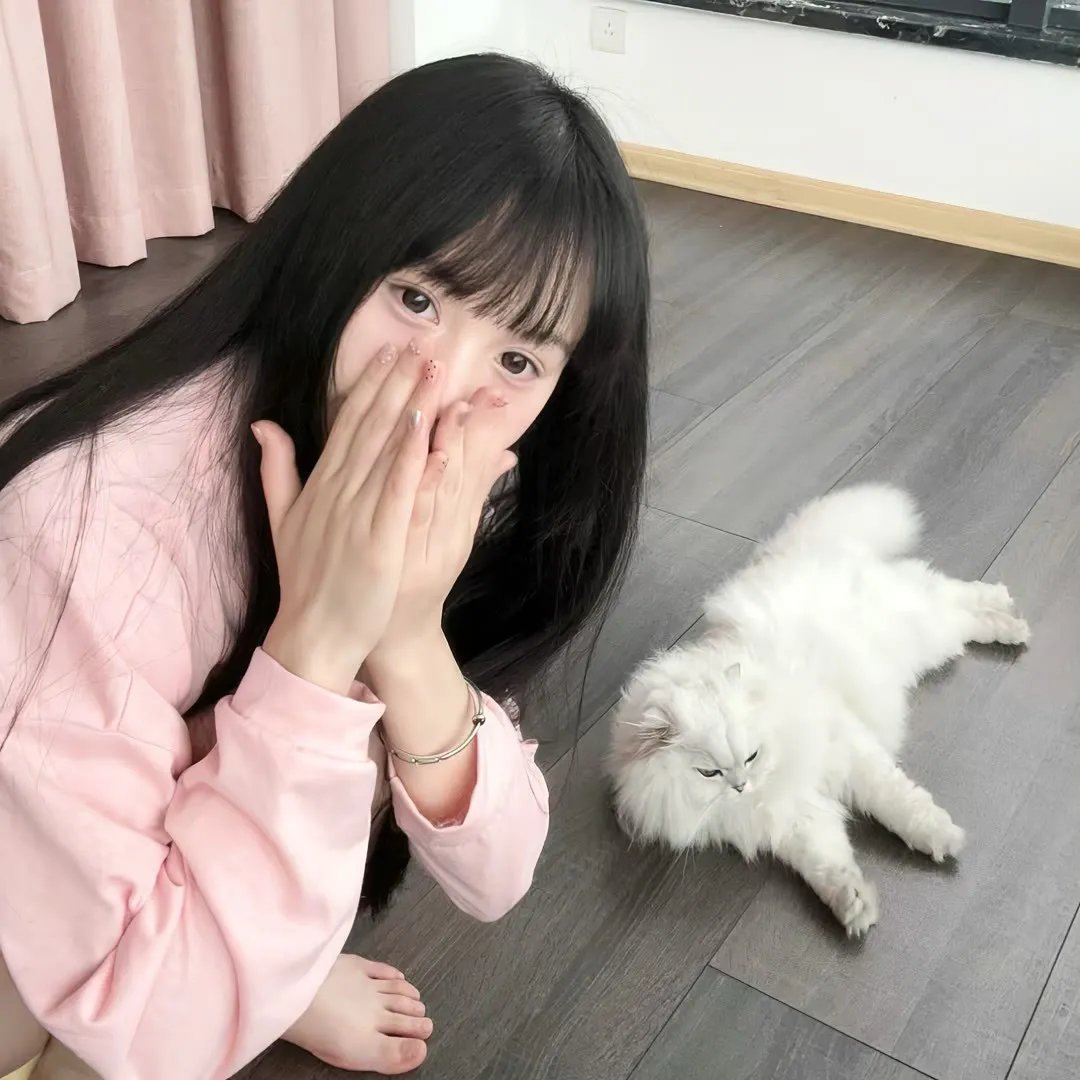 何塞2018